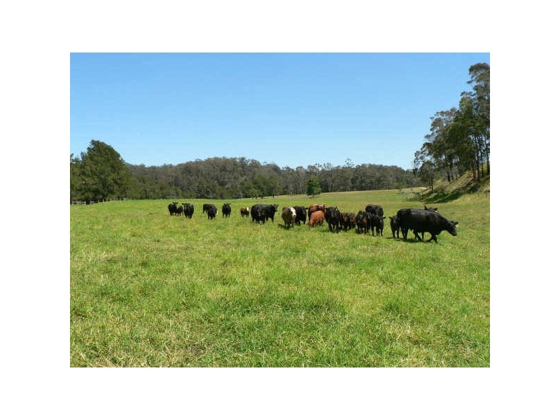 171 Stewarts Road, Moruya NSW 2537