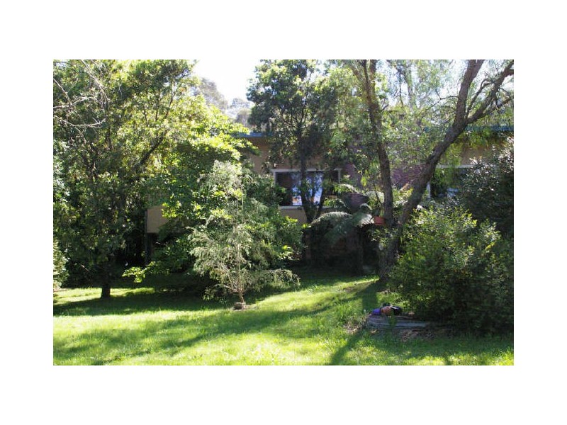 926 Nerigundah Mountain Road, Nerrigundah NSW 2545