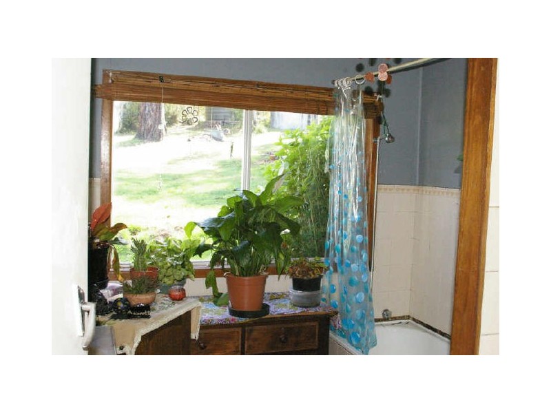 926 Nerigundah Mountain Road, Nerrigundah NSW 2545