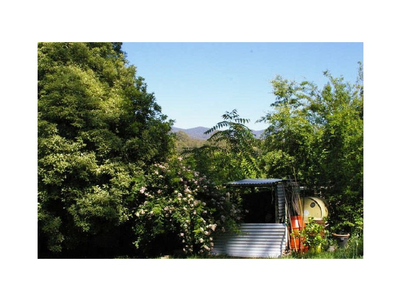 926 Nerigundah Mountain Road, Nerrigundah NSW 2545