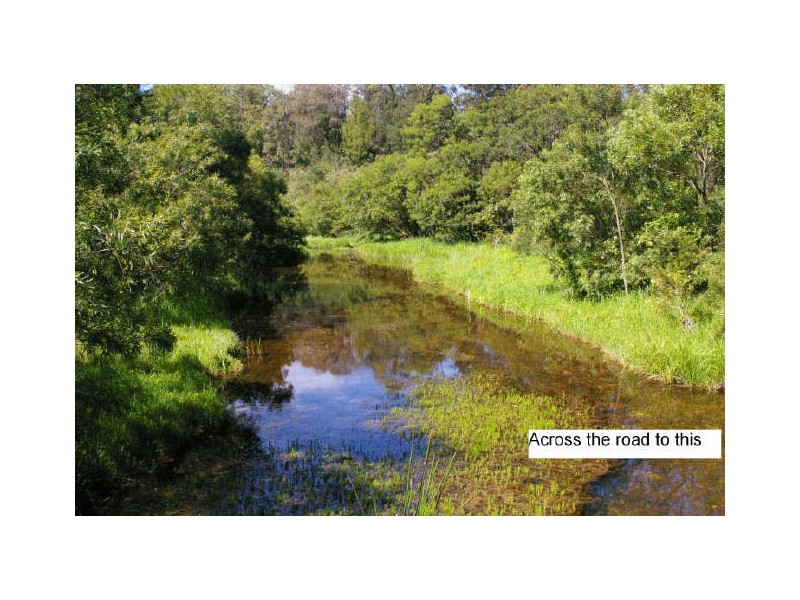 926 Nerigundah Mountain Road, Nerrigundah NSW 2545