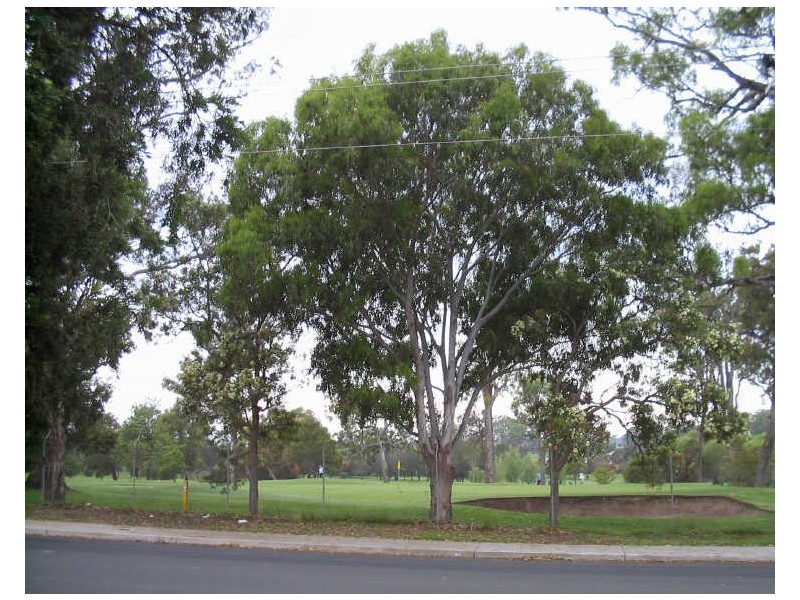 4/67 Evans Street, Moruya NSW 2537