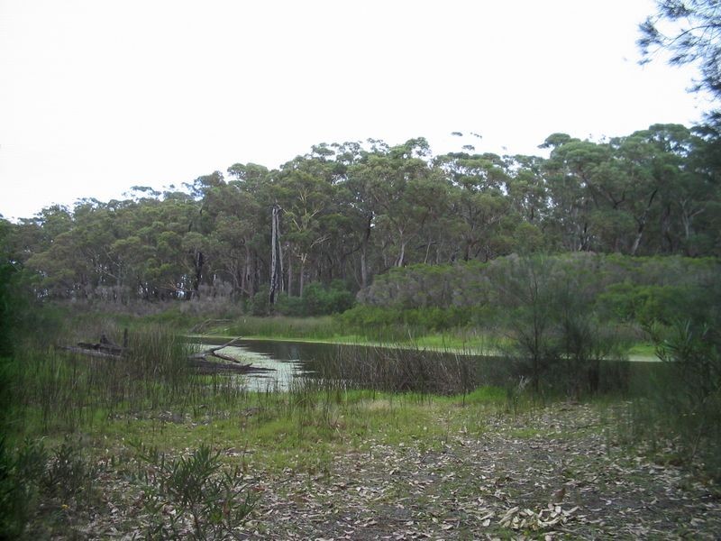 Lot 2 & 3 Donnelly Drive, Moruya NSW 2537