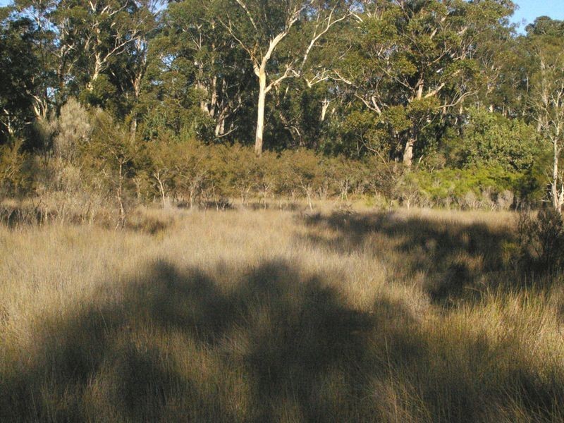 Lot 2 & 3 Donnelly Drive, Moruya NSW 2537