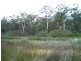 Lot 2 & 3 Donnelly Drive, Moruya NSW 2537
