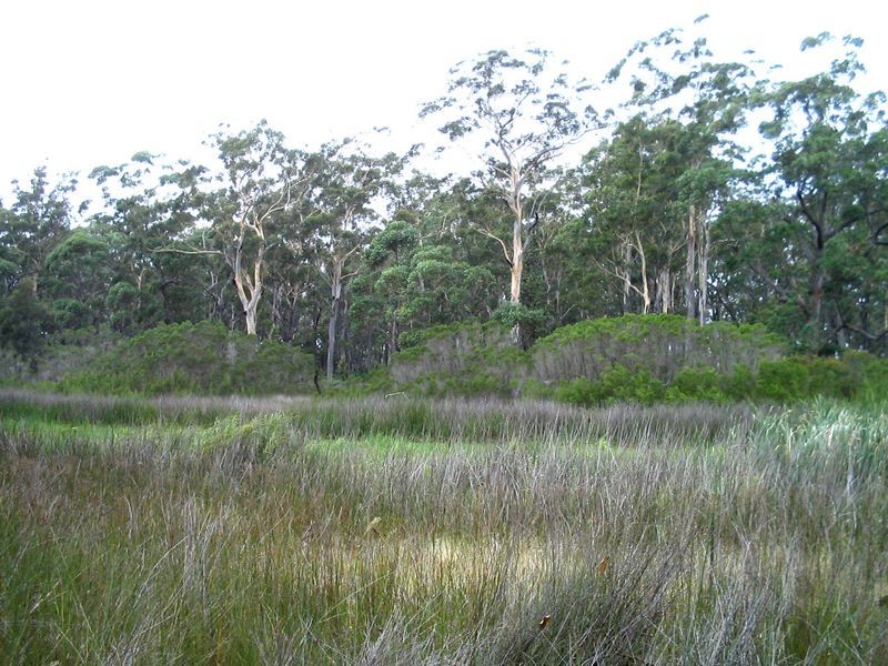 Lot 2 & 3 Donnelly Drive, Moruya NSW 2537