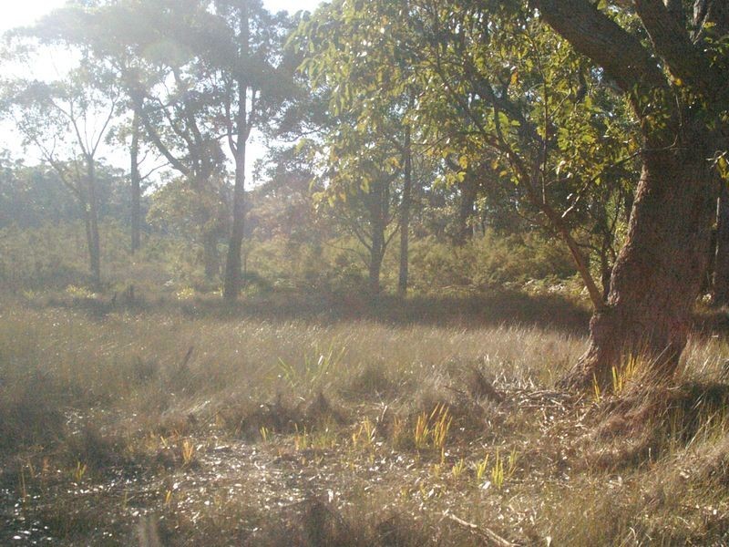 Lot 2 & 3 Donnelly Drive, Moruya NSW 2537