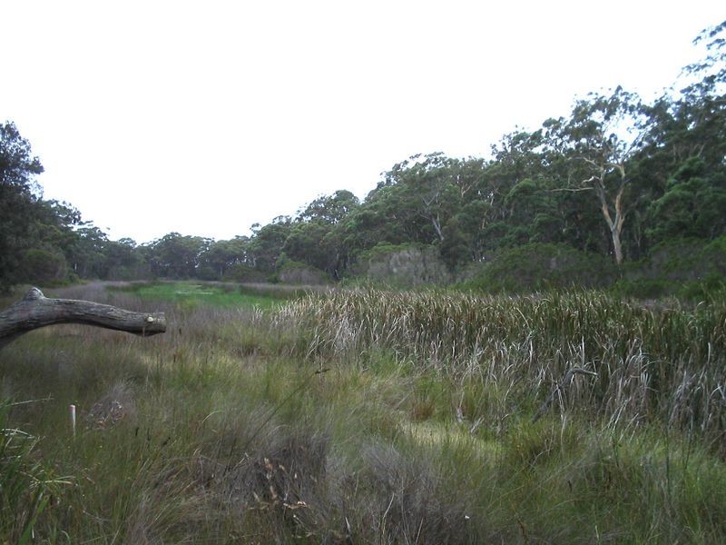 Lot 2 & 3 Donnelly Drive, Moruya NSW 2537