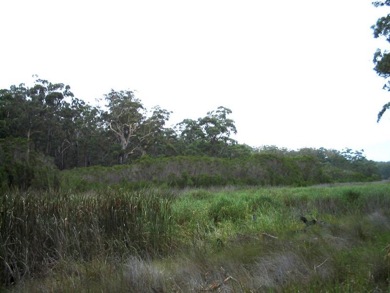 Lot 2 & 3 Donnelly Drive, Moruya NSW 2537