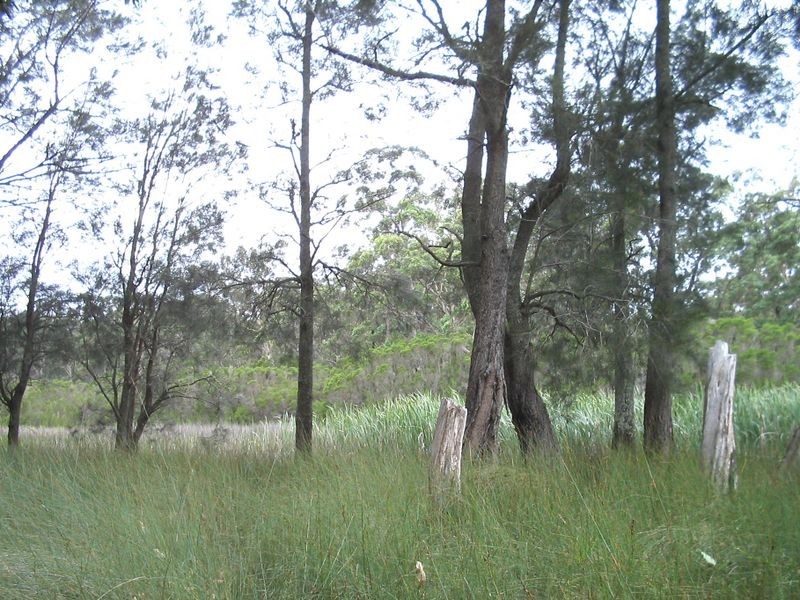 Lot 2 & 3 Donnelly Drive, Moruya NSW 2537
