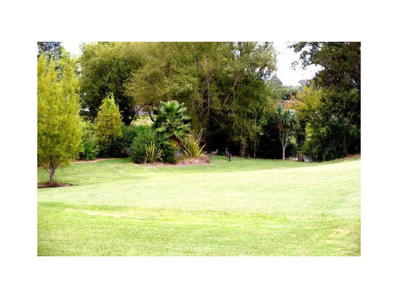 6 Fitzroy Street, Moruya NSW 2537