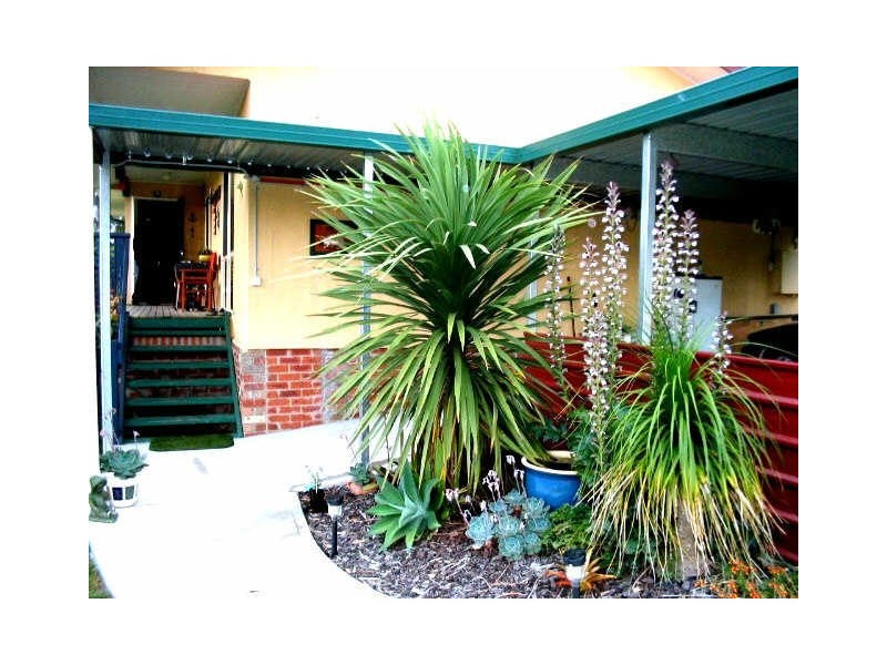 6 Fitzroy Street, Moruya NSW 2537