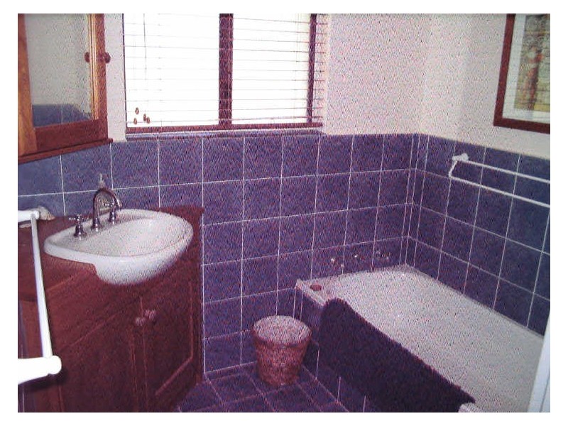 759 Congo Rd, Congo NSW 2537