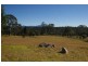 Lot 7 Emily Lane, Moruya NSW 2537