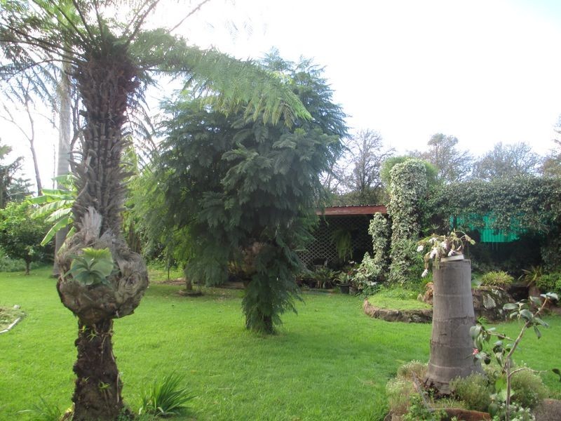 78 Queen Street, Moruya NSW 2537