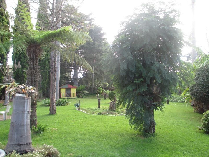 78 Queen Street, Moruya NSW 2537