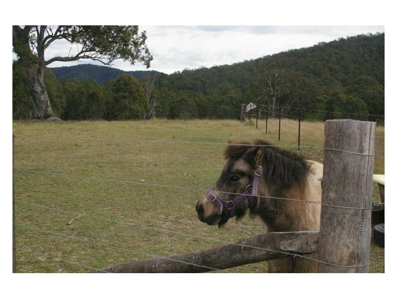 Lt14,18&30 Araluen Road, Mayfield NSW 2622