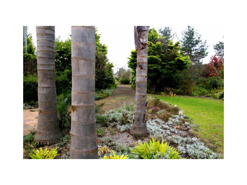 186 Princes Highway, Bodalla NSW 2545