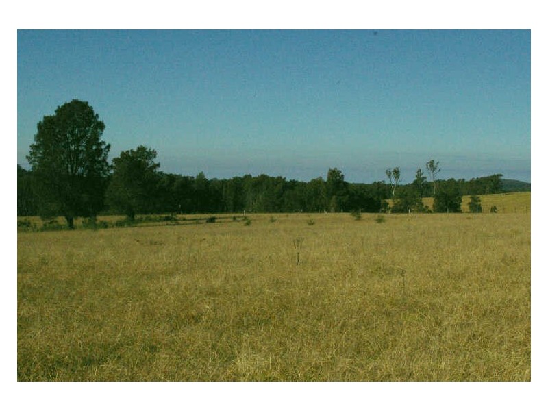 6 Noads Place, Moruya NSW 2537