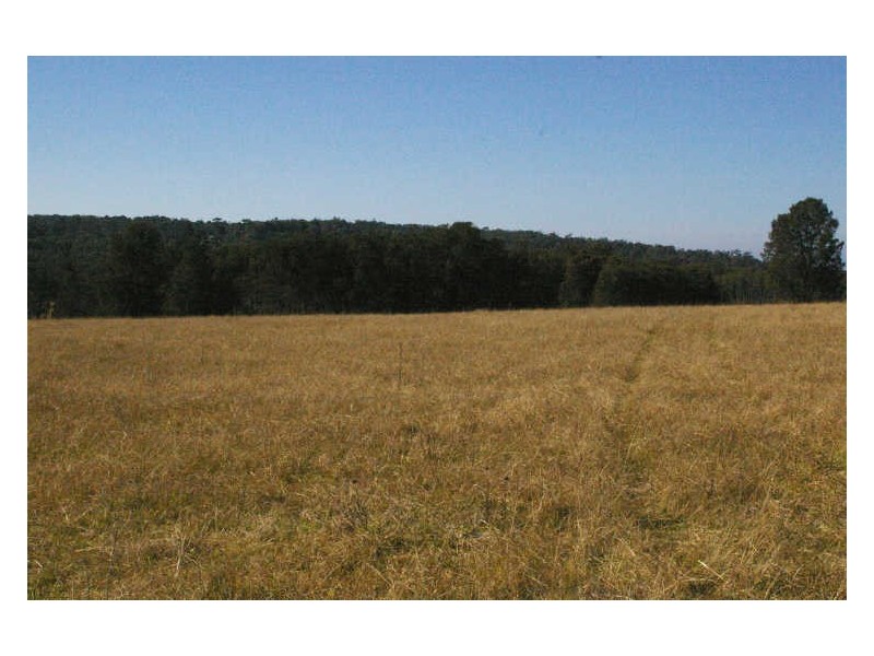 6 Noads Place, Moruya NSW 2537