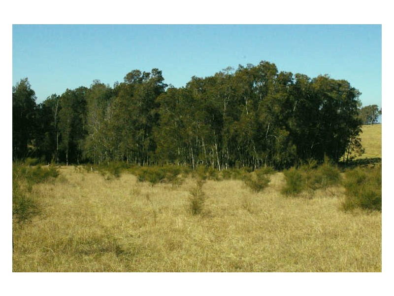 6 Noads Place, Moruya NSW 2537