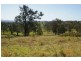 Lot 36 Bodalla Park Drive, Bodalla NSW 2545
