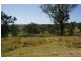 Lot 36 Bodalla Park Drive, Bodalla NSW 2545