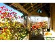 7 Fitzroy Street, Moruya NSW 2537
