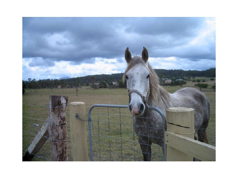 Lot 10 Glenduart Grove, Moruya NSW 2537