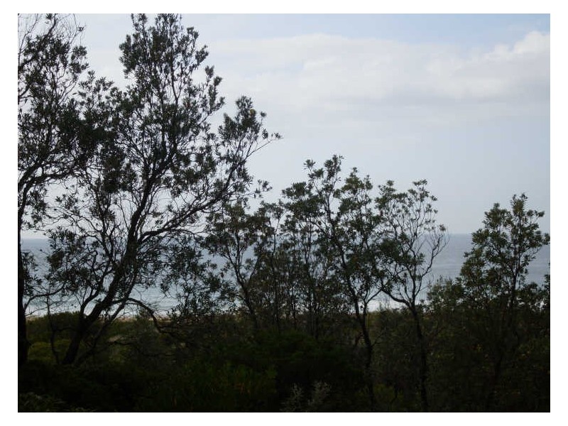 5/24 Charles Moffitt Drive, Moruya Heads NSW 2537