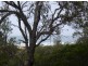 5/24 Charles Moffitt Drive, Moruya Heads NSW 2537
