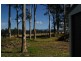 17 Maunsell Street, Moruya NSW 2537