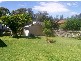 24 Page Street, Moruya NSW 2537
