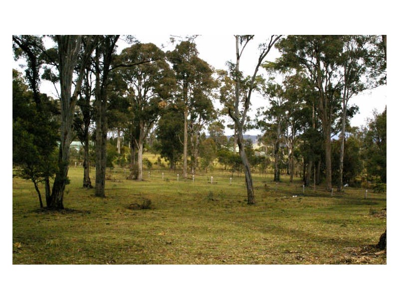 66 Berriman Drive, Congo NSW 2537