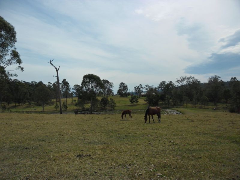 552 Larrys Mountain Road, Moruya NSW 2537