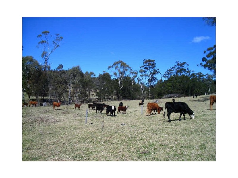 11-13 Potato Point Road (Lot 841), Bodalla NSW 2545