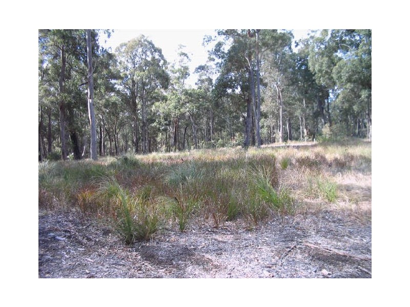 13 Namadgi Lane, Bergalia NSW 2537