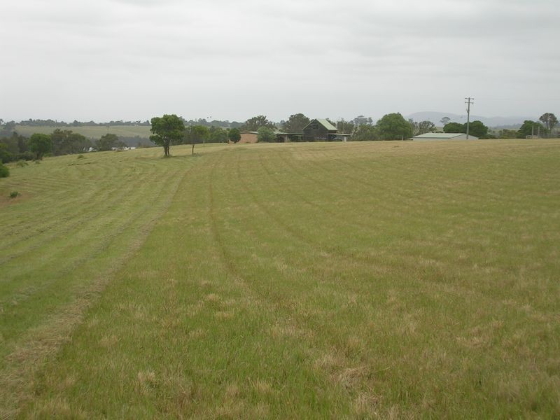 528 Bingi Road, Bingie NSW 2537