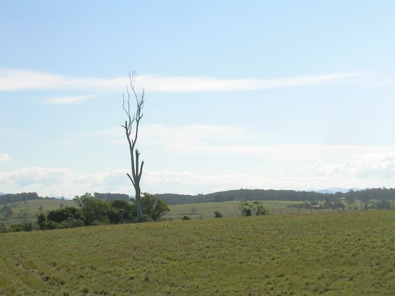 528 Bingi Road, Bingie NSW 2537