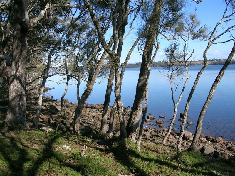 528 Bingi Road, Bingie NSW 2537