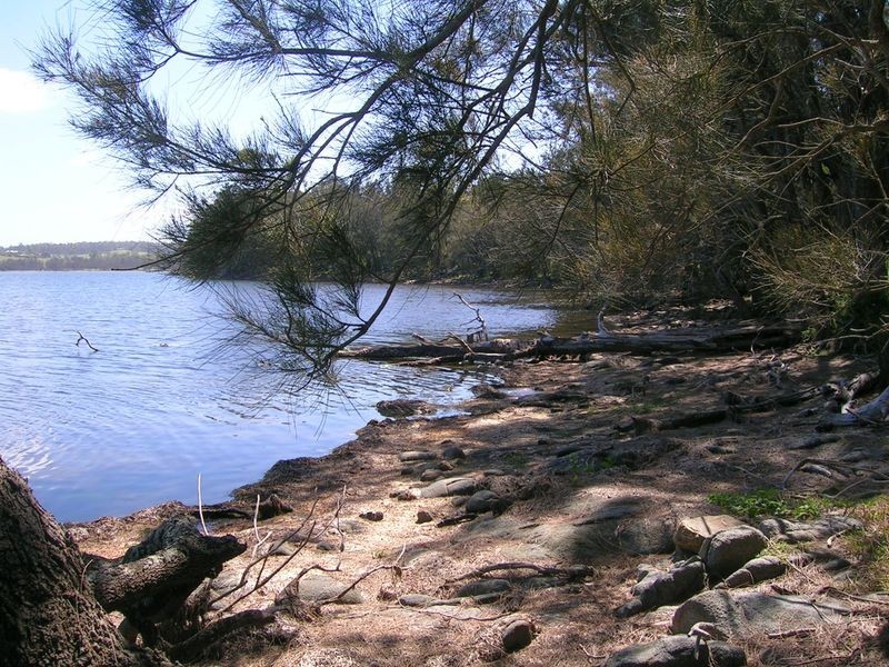 528 Bingi Road, Bingie NSW 2537