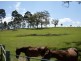 Lot 136 Bodalla Park Drive, Bodalla NSW 2545