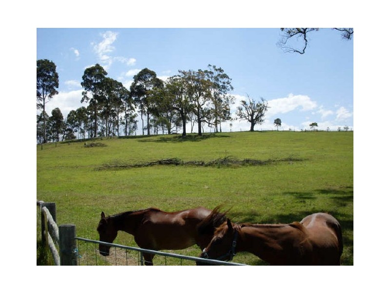 Lot 136 Bodalla Park Drive, Bodalla NSW 2545