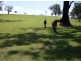 Lot 136 Bodalla Park Drive, Bodalla NSW 2545