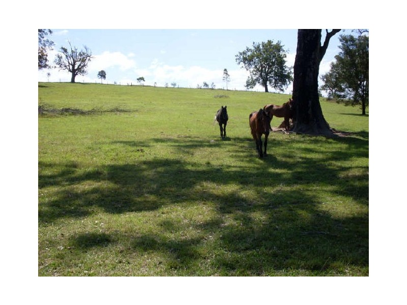 Lot 136 Bodalla Park Drive, Bodalla NSW 2545