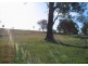 Lot 136 Bodalla Park Drive, Bodalla NSW 2545