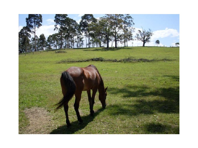 Lot 136 Bodalla Park Drive, Bodalla NSW 2545
