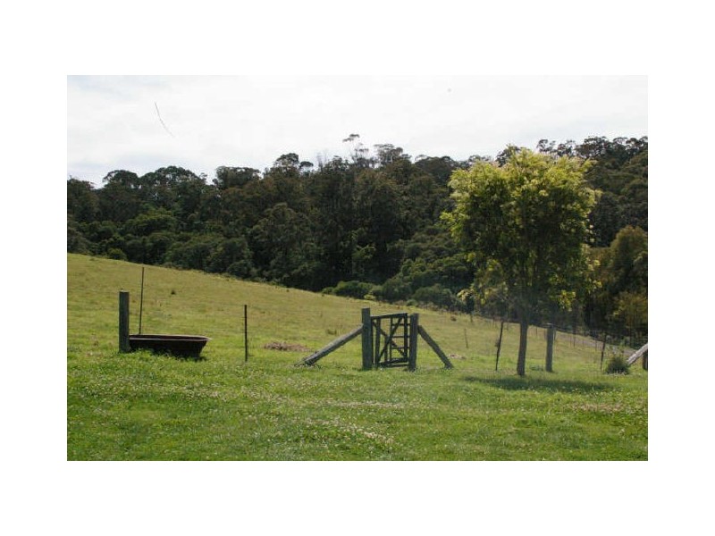 “Belvedere”/741 Old Highway, Narooma NSW 2546