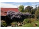 “Belvedere”/741 Old Highway, Narooma NSW 2546
