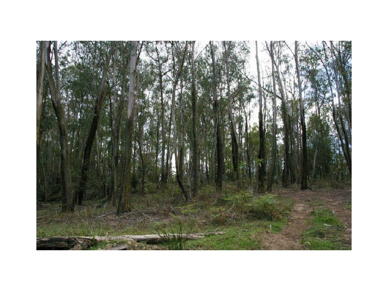 2109 Araluen Road, Deua River Valley NSW 2537